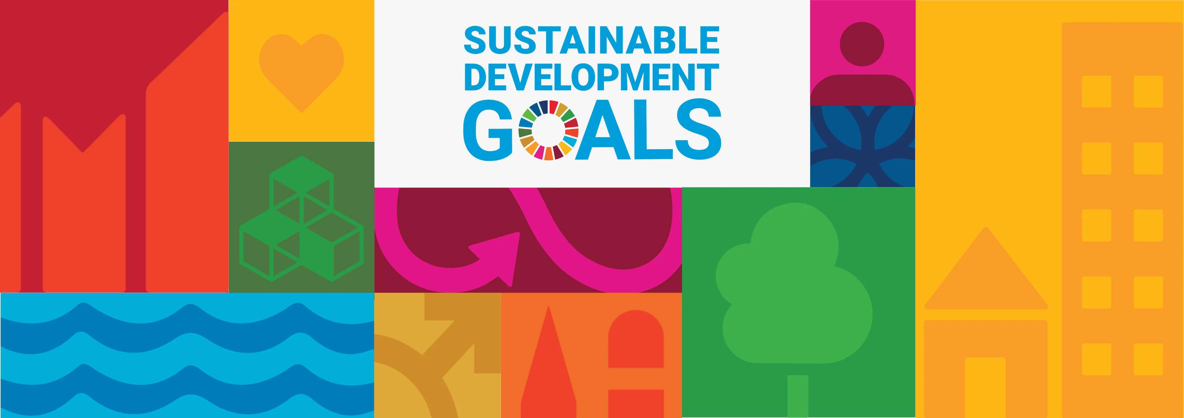 Sustainable Development Goals banner